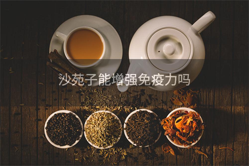 沙苑子能增强免疫力吗
