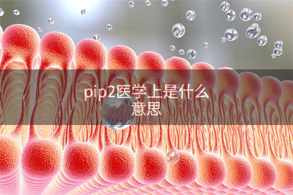 pip2医学上是什么意思