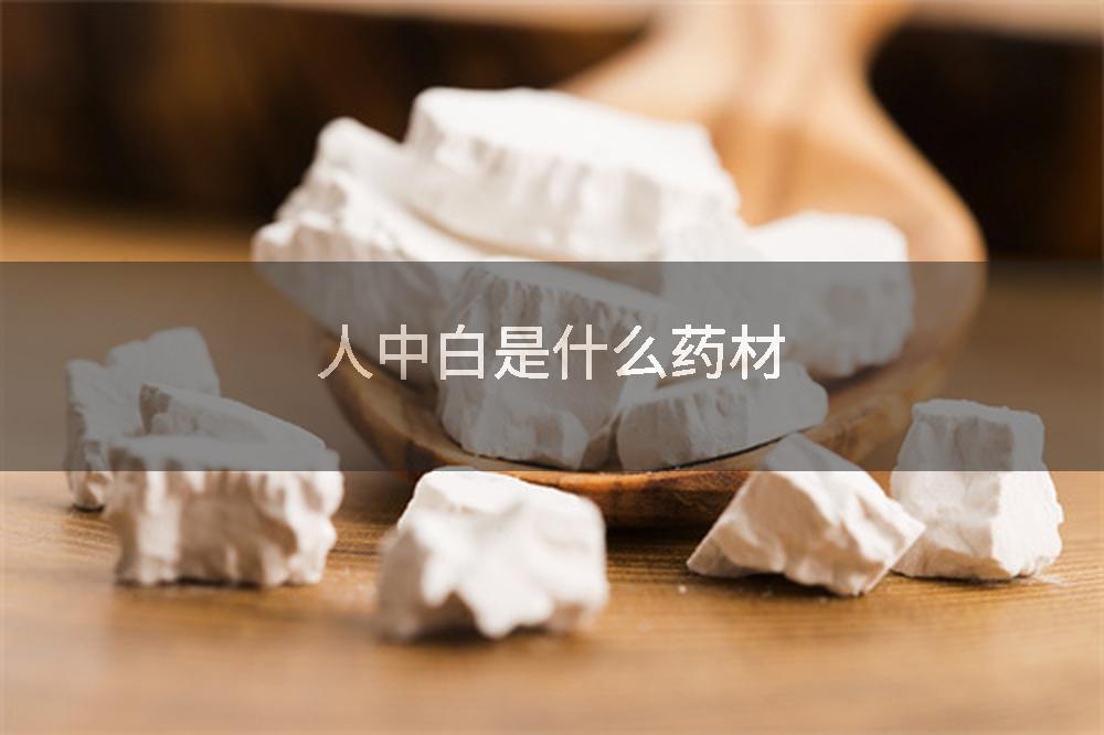 人中白是什么药材