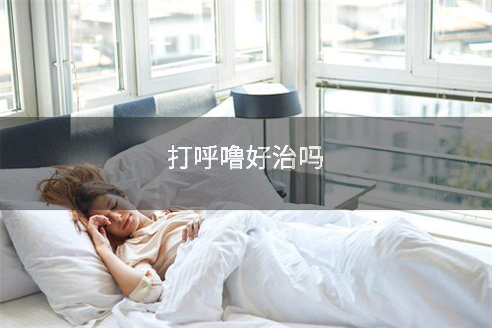 打呼噜好治吗