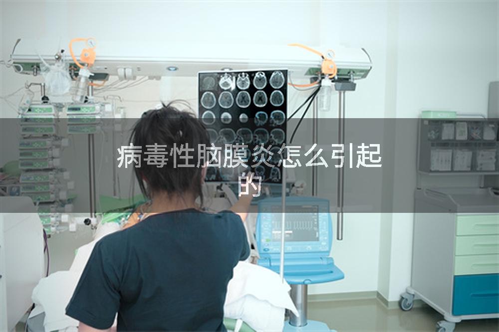 病毒性脑膜炎怎么引起的