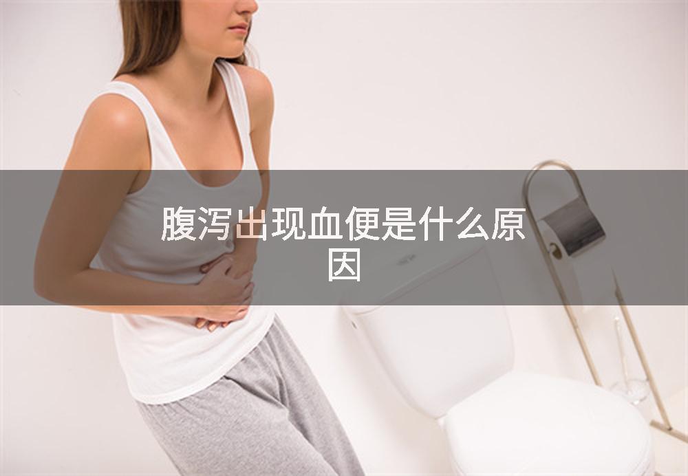 腹泻出现血便是什么原因