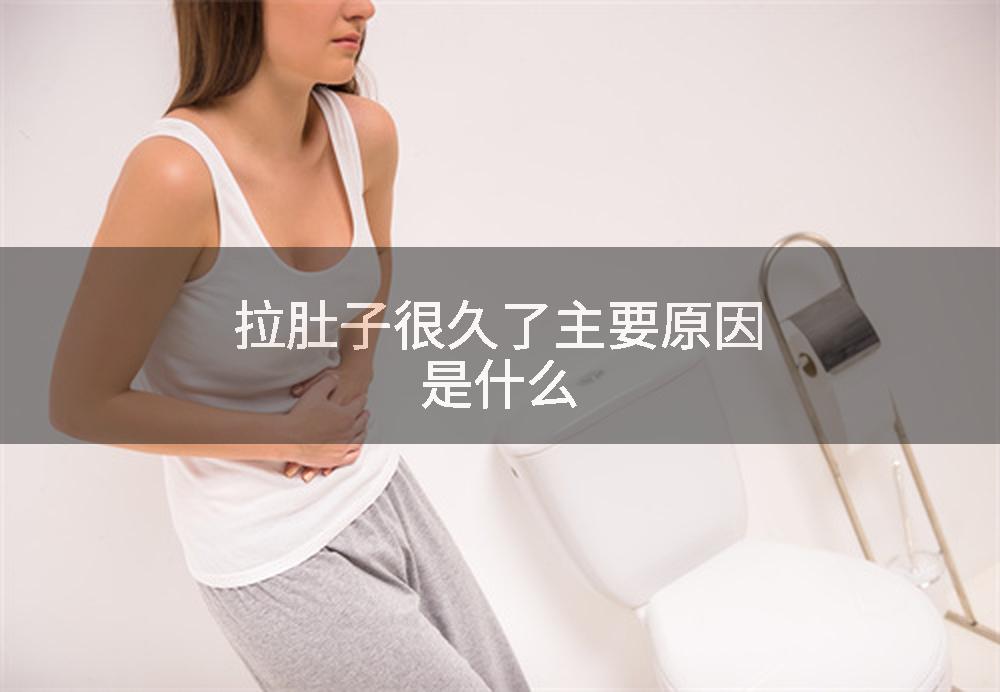 拉肚子很久了主要原因是什么