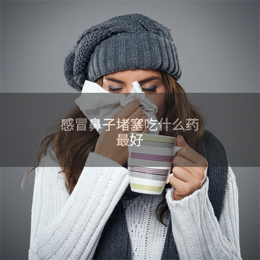 感冒鼻子堵塞吃什么药最好