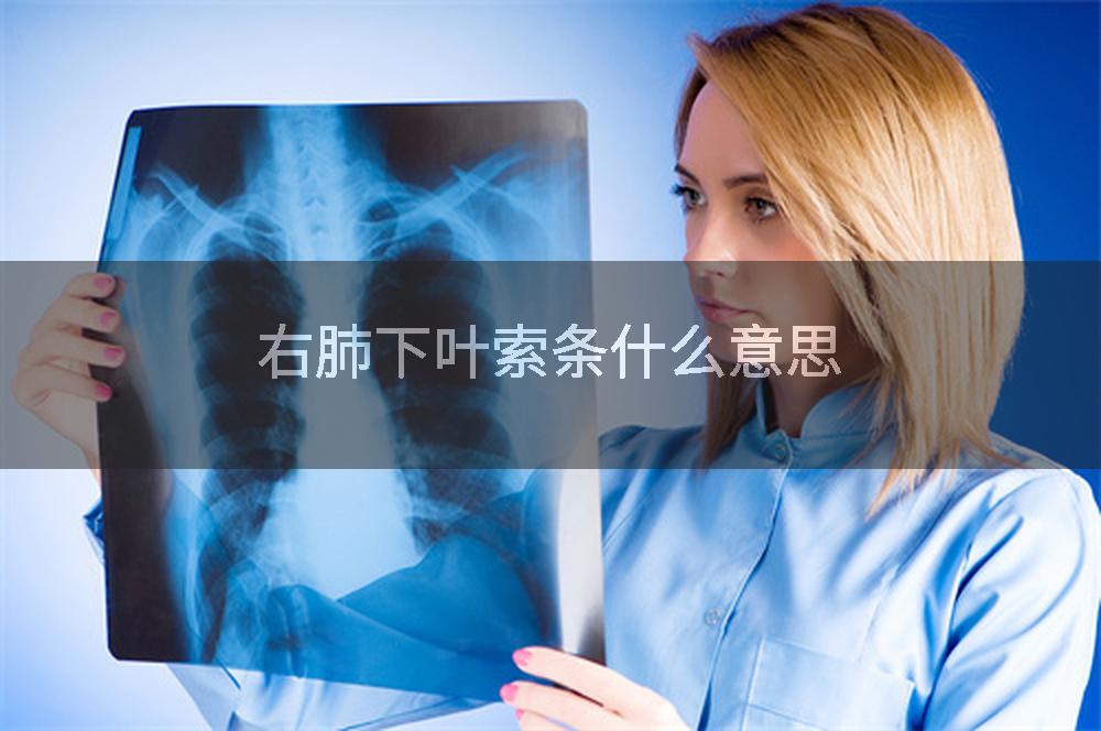 右肺下叶索条什么意思