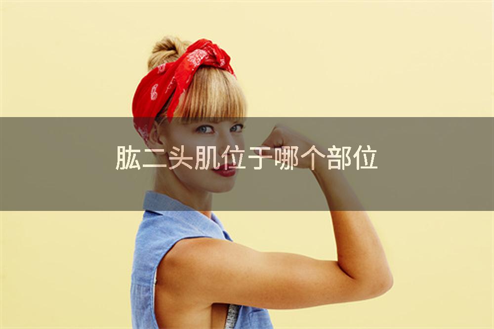 肱二头肌位于哪个部位
