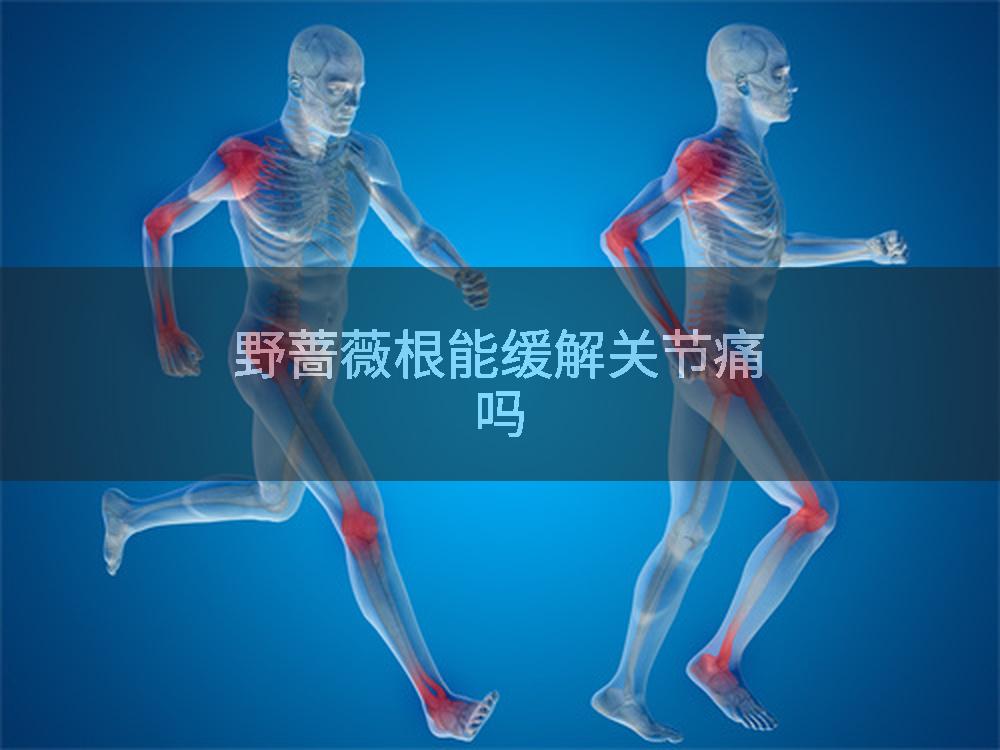 野蔷薇根能缓解关节痛吗