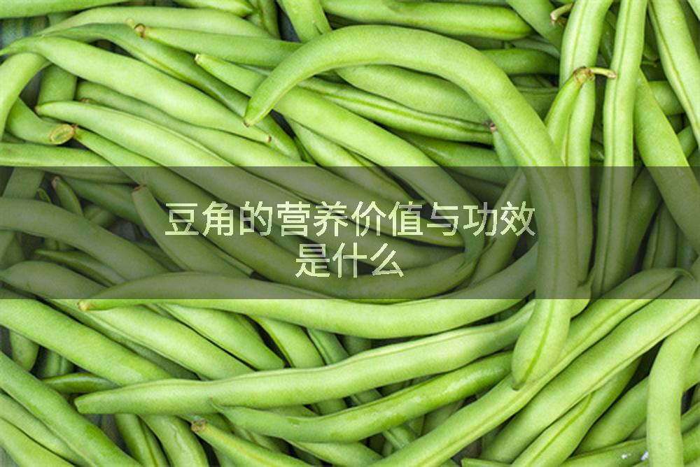 豆角的营养价值与功效是什么