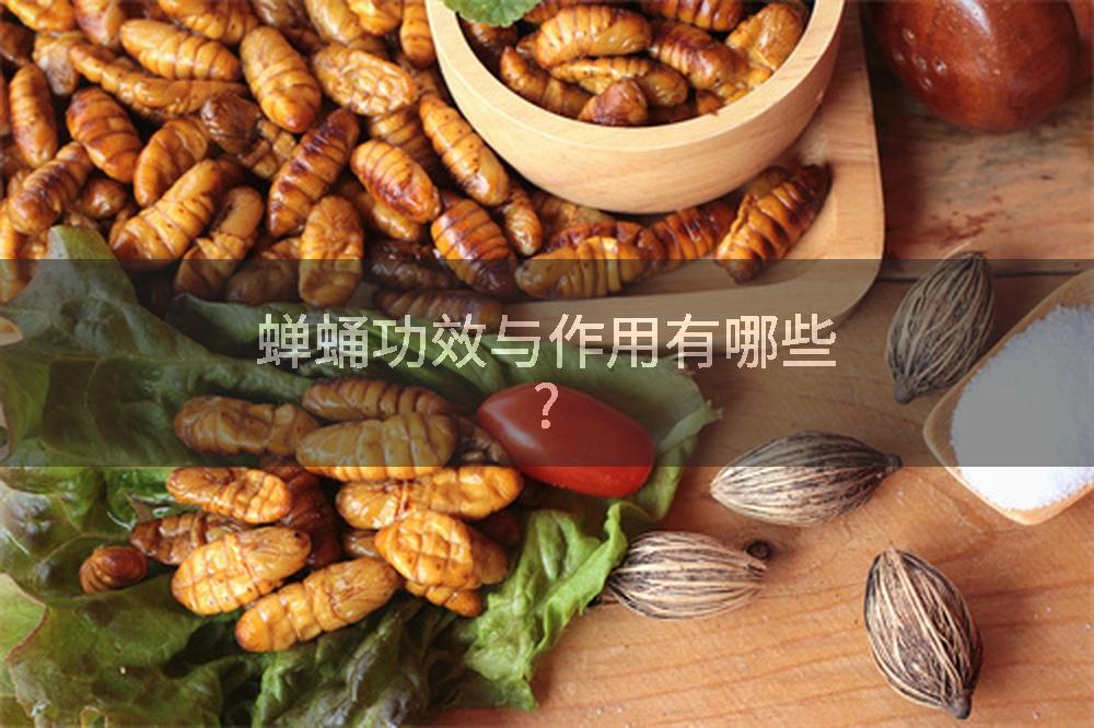 蝉蛹功效与作用有哪些?