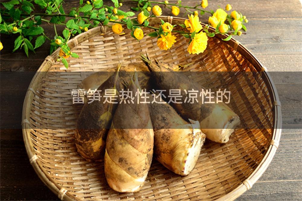 雷笋是热性还是凉性的