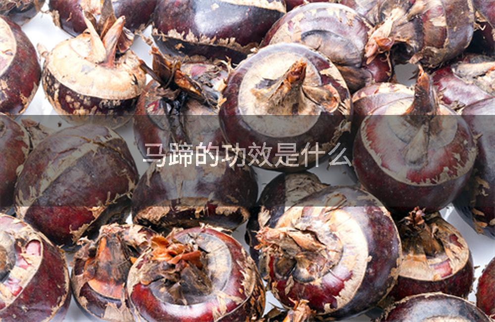 马蹄的功效是什么