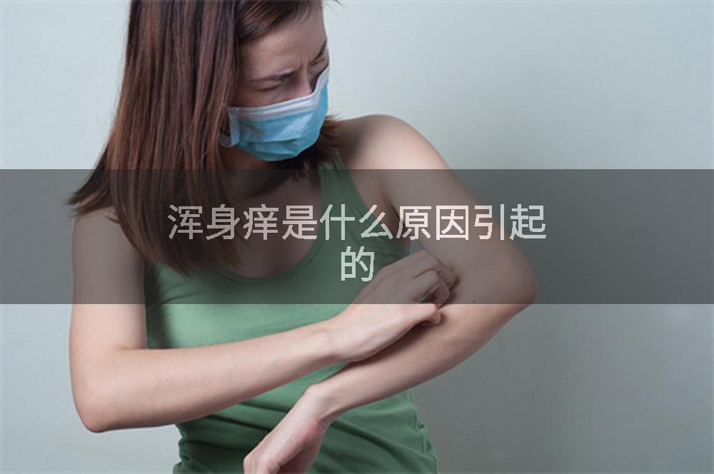 浑身痒是什么原因引起的