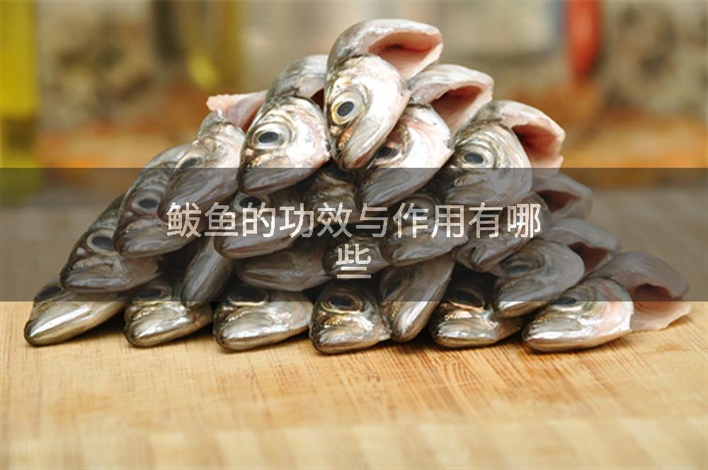 鲅鱼的功效与作用有哪些