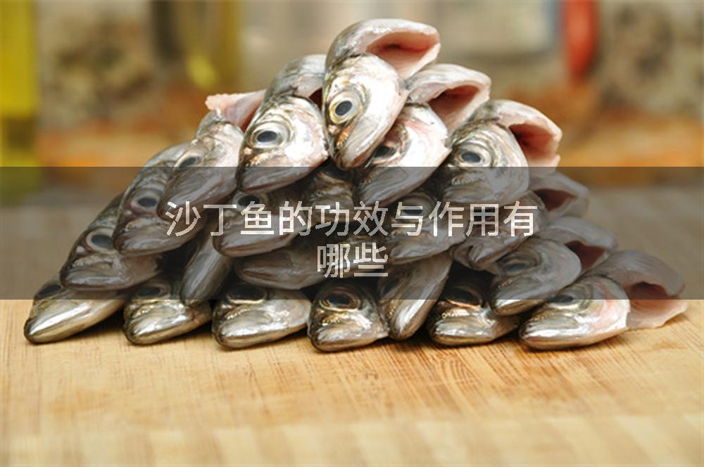 沙丁鱼的功效与作用有哪些