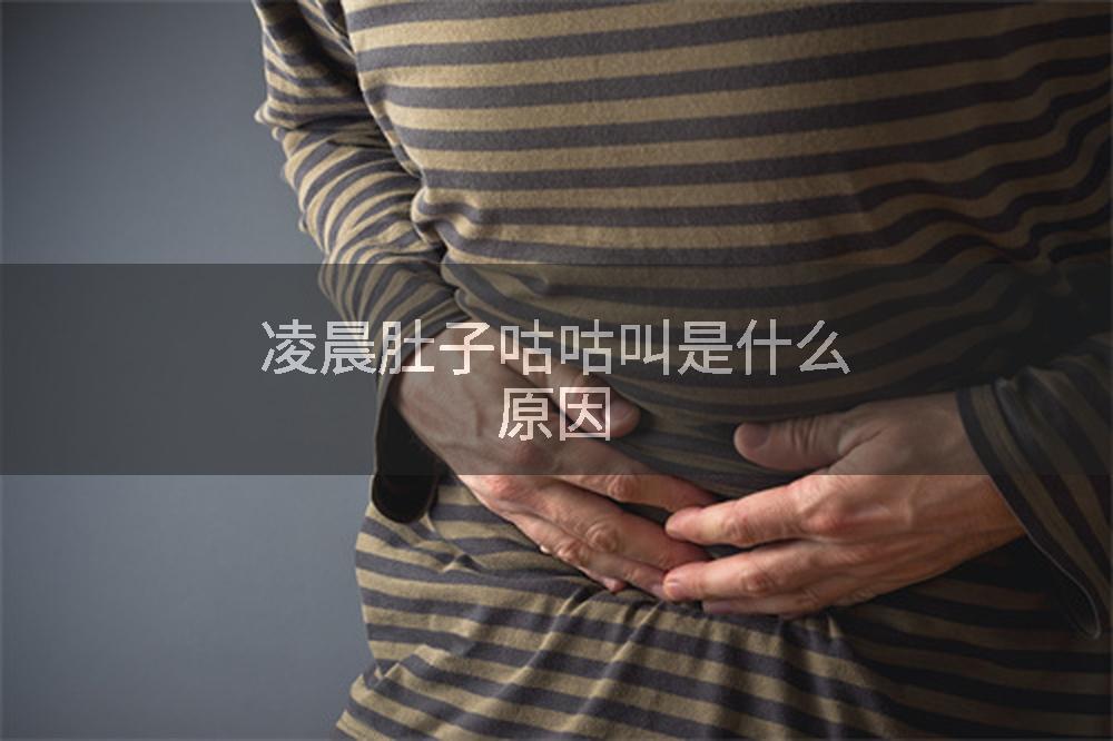 凌晨肚子咕咕叫是什么原因