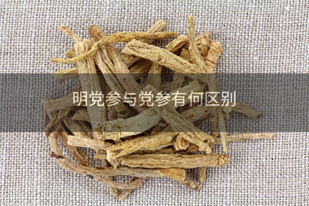明党参与党参有何区别