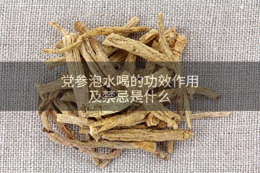 党参泡水喝的功效作用及禁忌是什么