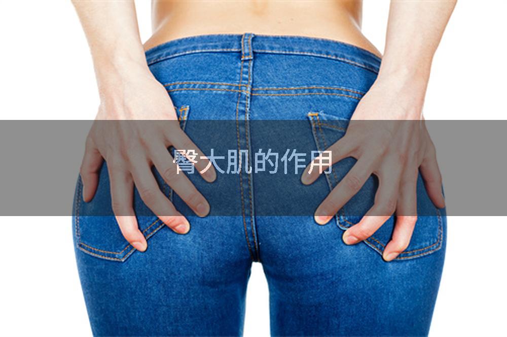 臀大肌的作用