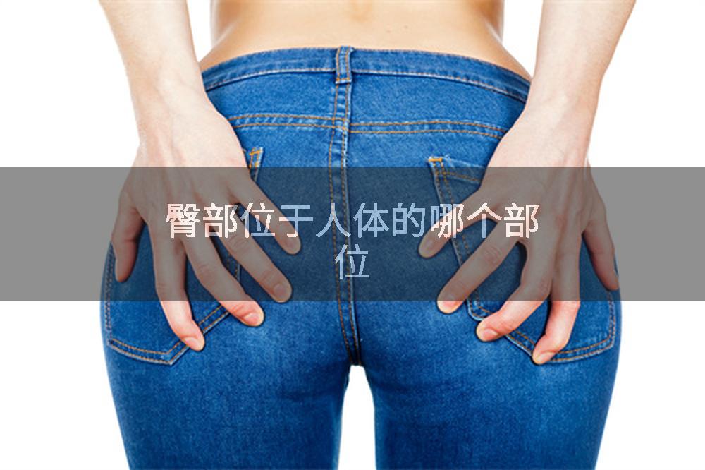 臀部位于人体的哪个部位