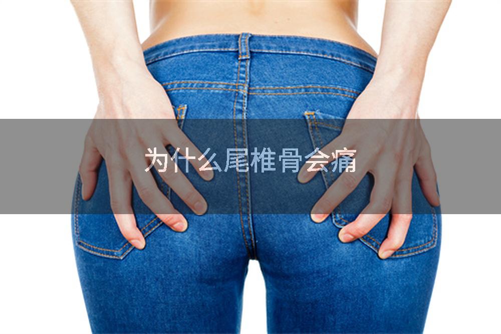 为什么尾椎骨会痛