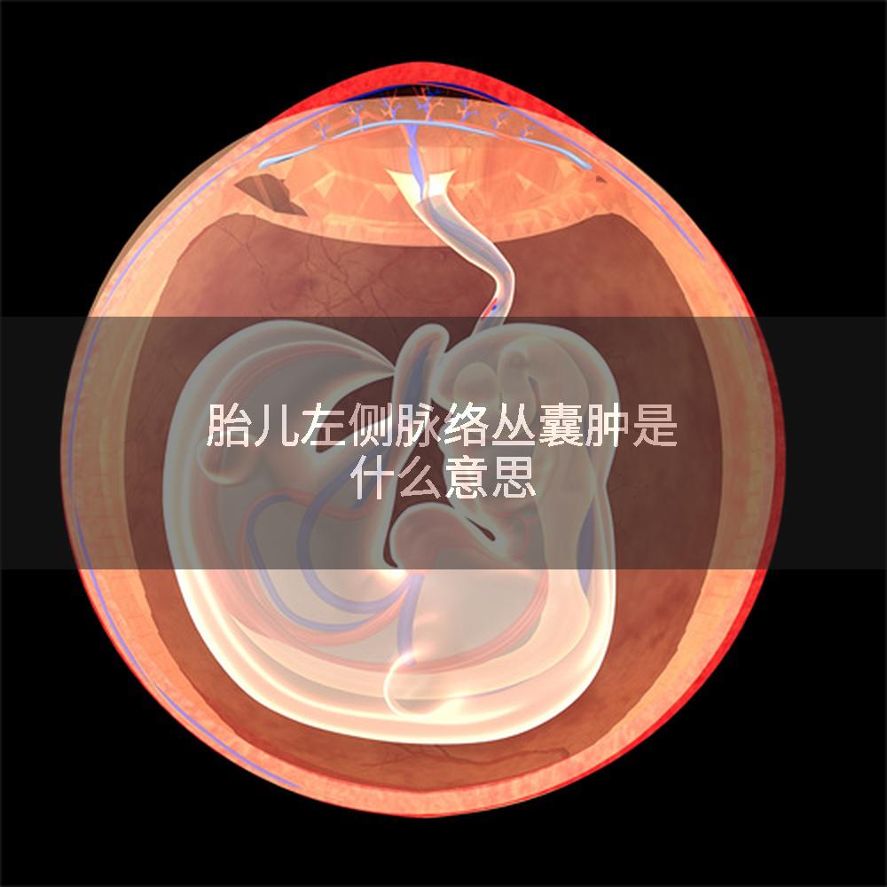 胎儿左侧脉络丛囊肿是什么意思