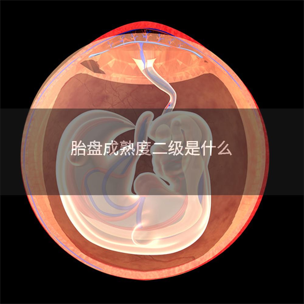 胎盘成熟度二级是什么