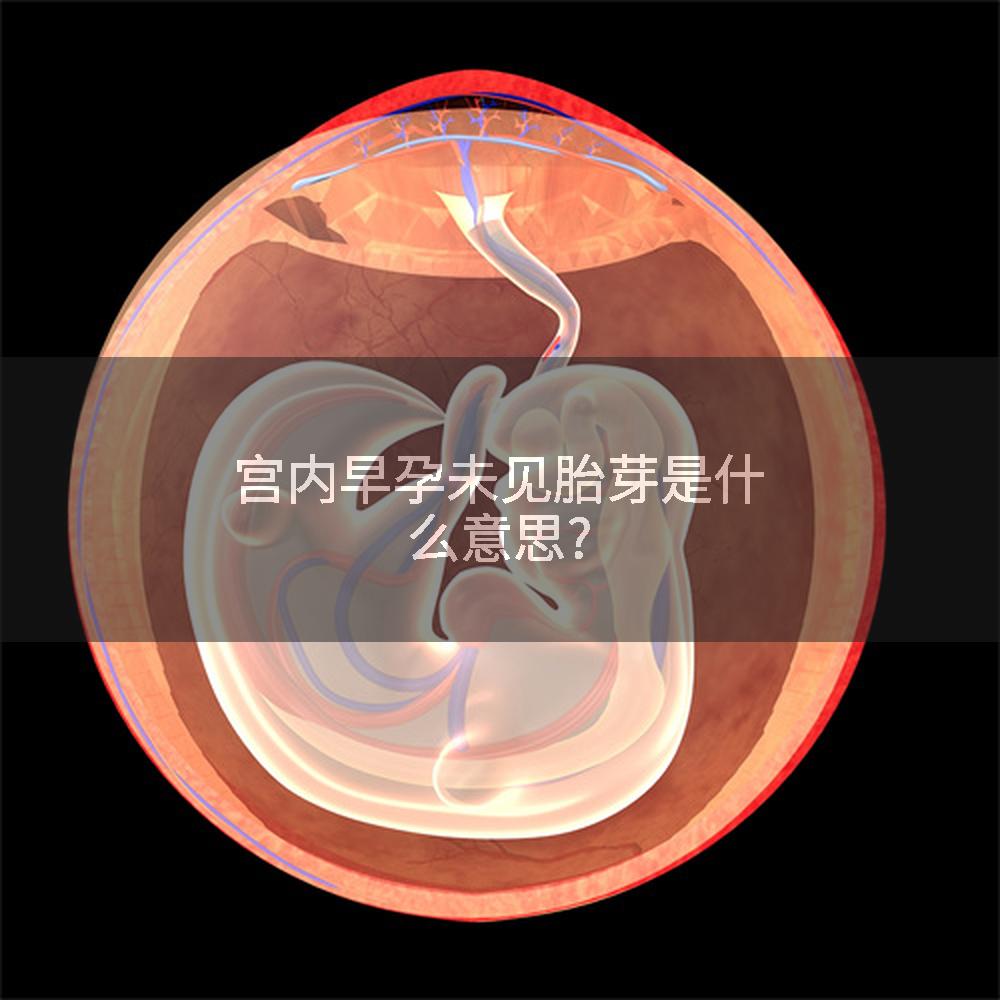 宫内早孕未见胎芽是什么意思?