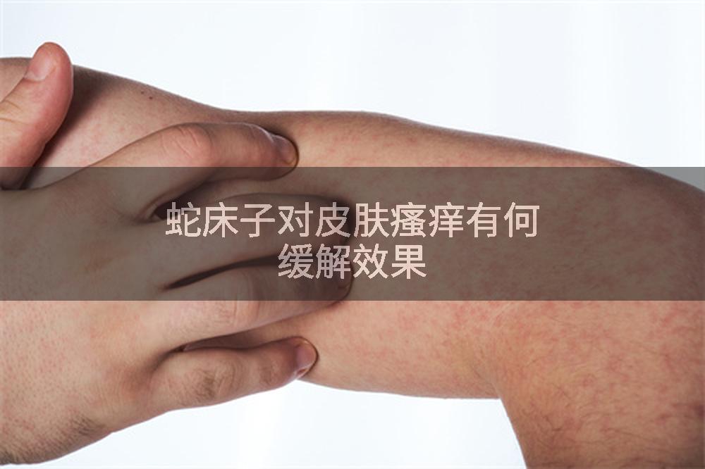 蛇床子对皮肤瘙痒有何缓解效果