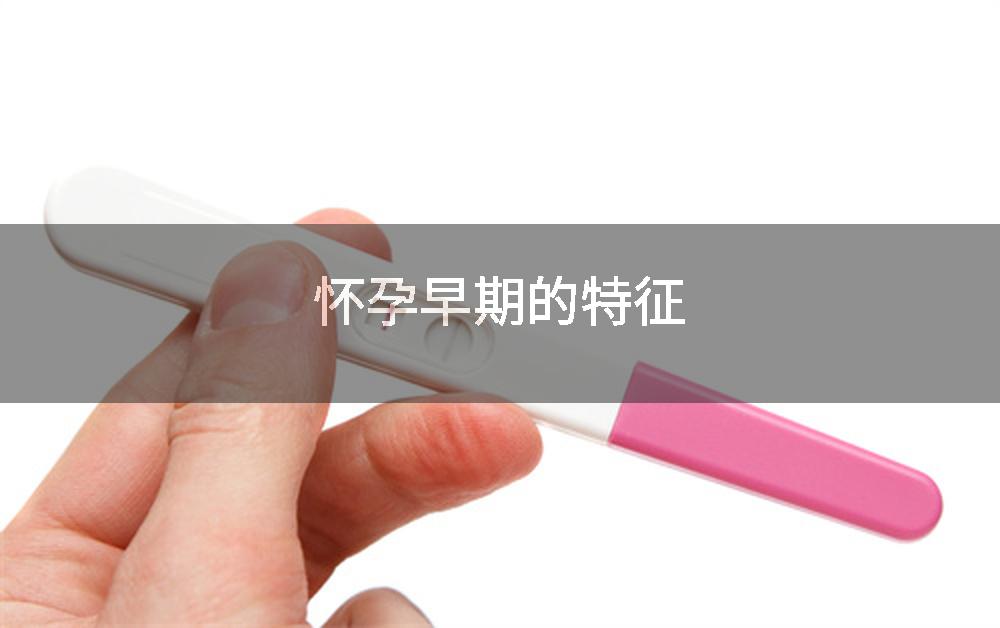 怀孕早期的特征