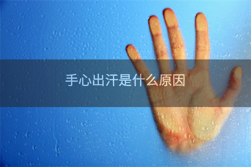 手心出汗是什么原因