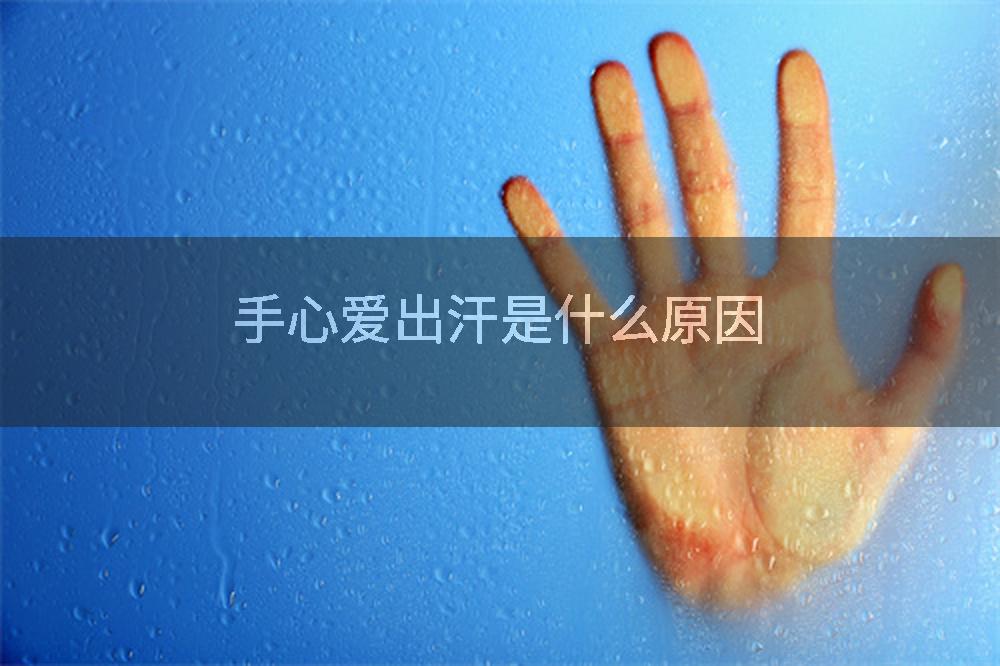 手心爱出汗是什么原因