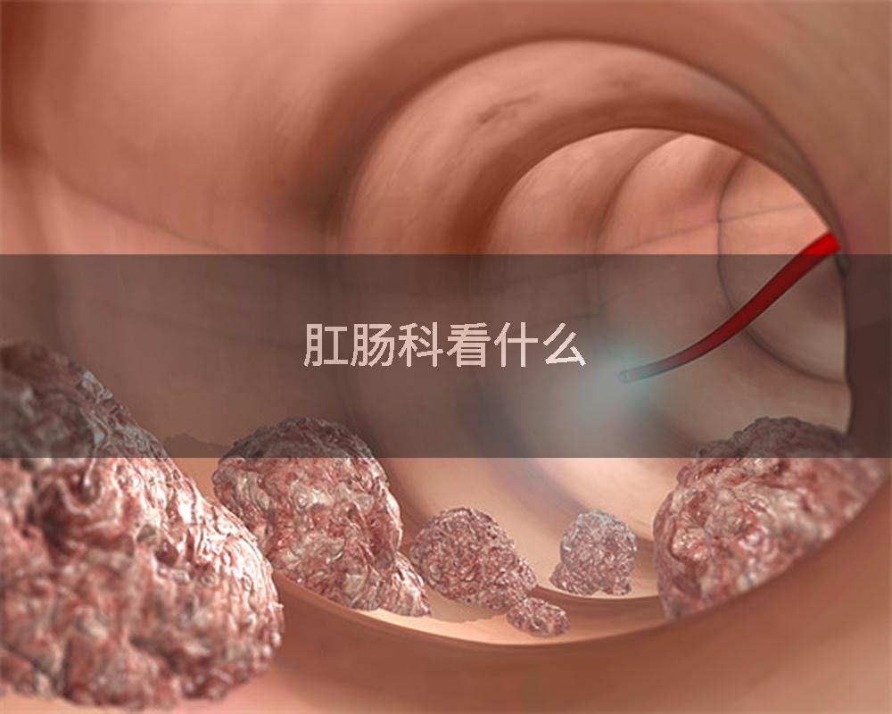 肛肠科看什么