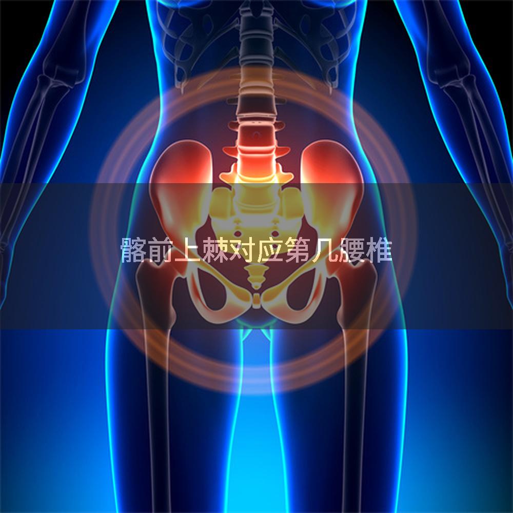 髂前上棘对应第几腰椎
