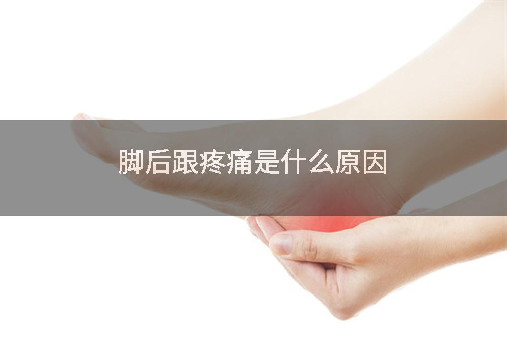 脚后跟疼痛是什么原因