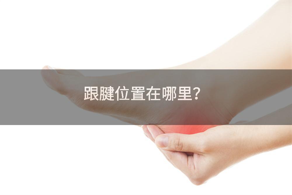 跟腱位置在哪里？