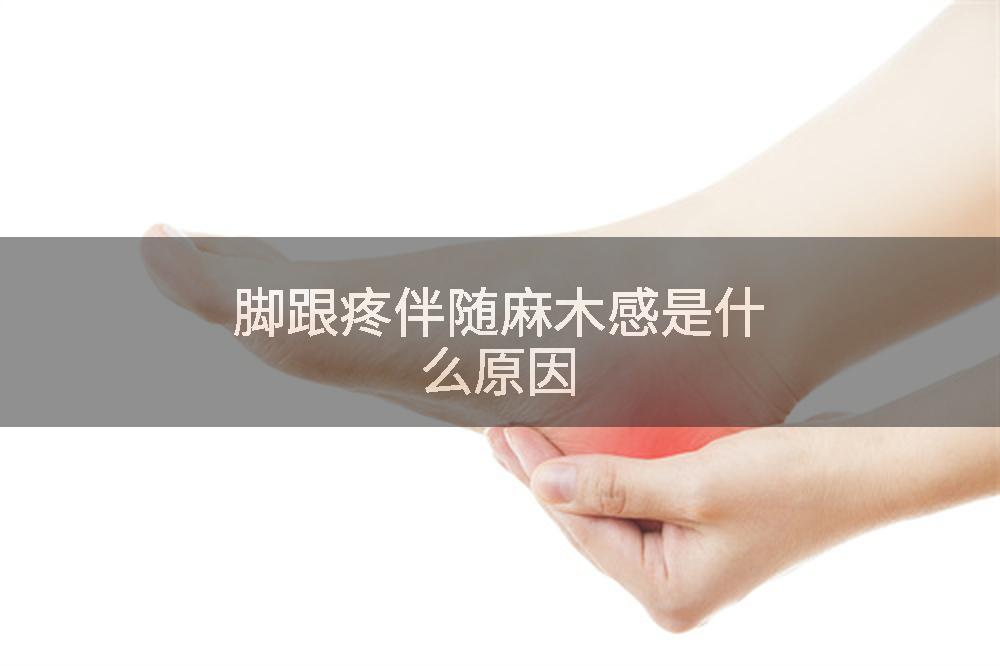 脚跟疼伴随麻木感是什么原因