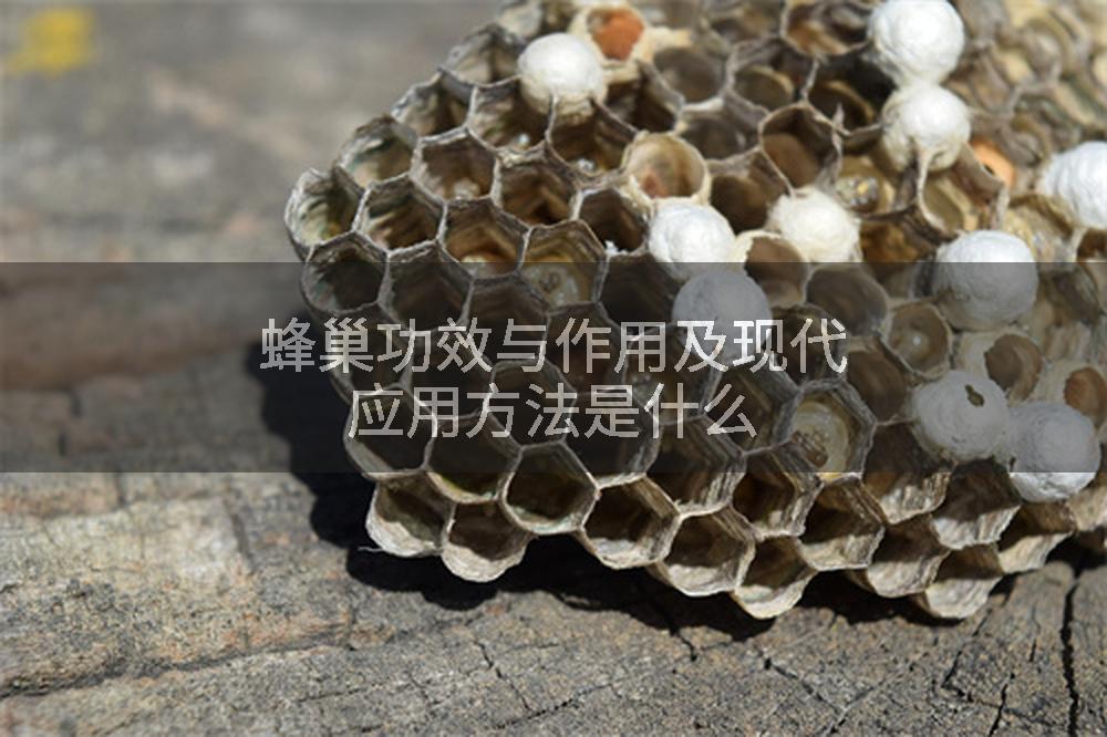 蜂巢功效与作用及现代应用方法是什么