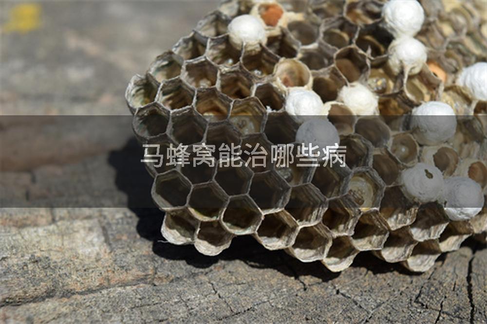 马蜂窝能治哪些病