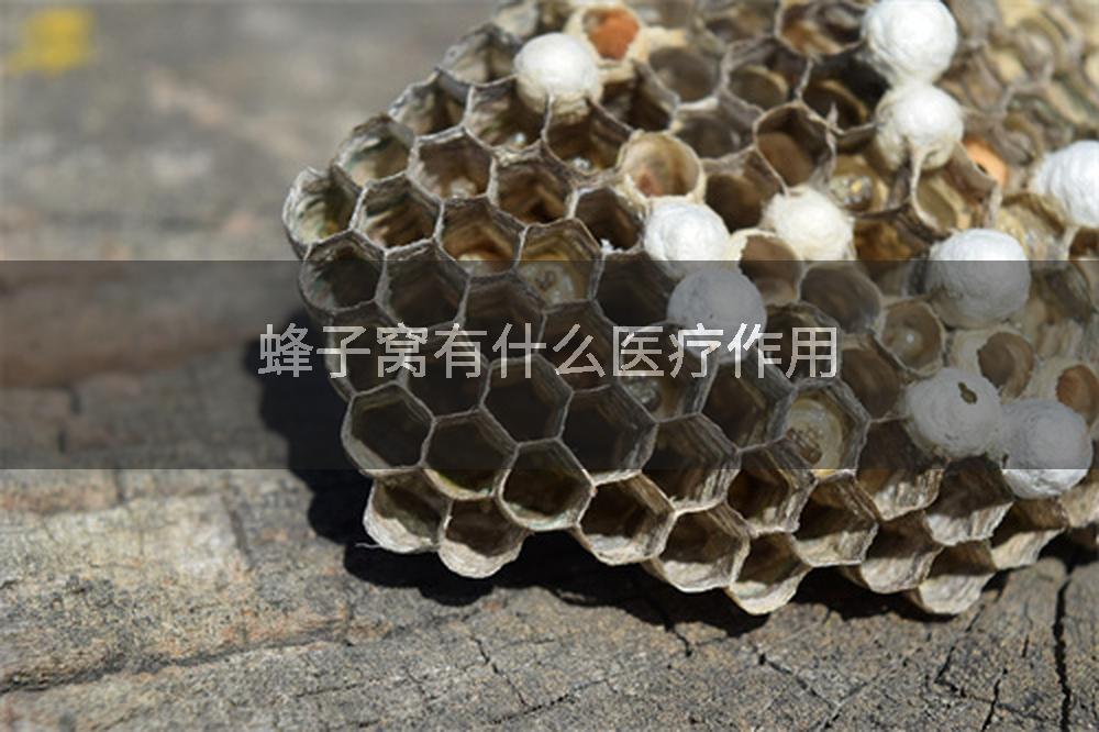 蜂子窝有什么医疗作用