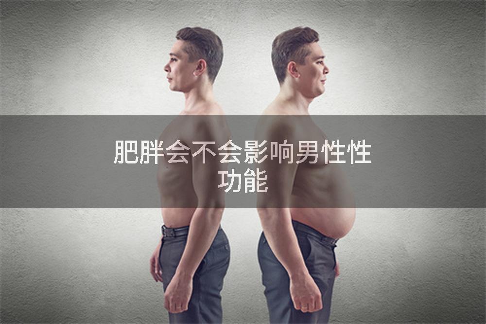 肥胖会不会影响男性性功能