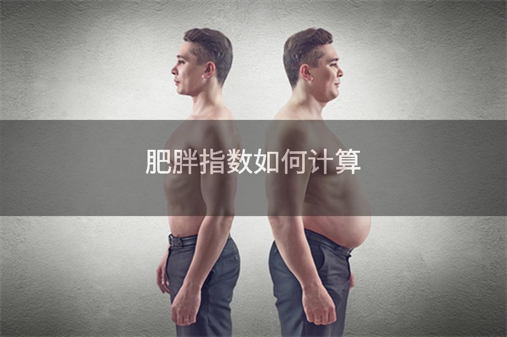 肥胖指数如何计算