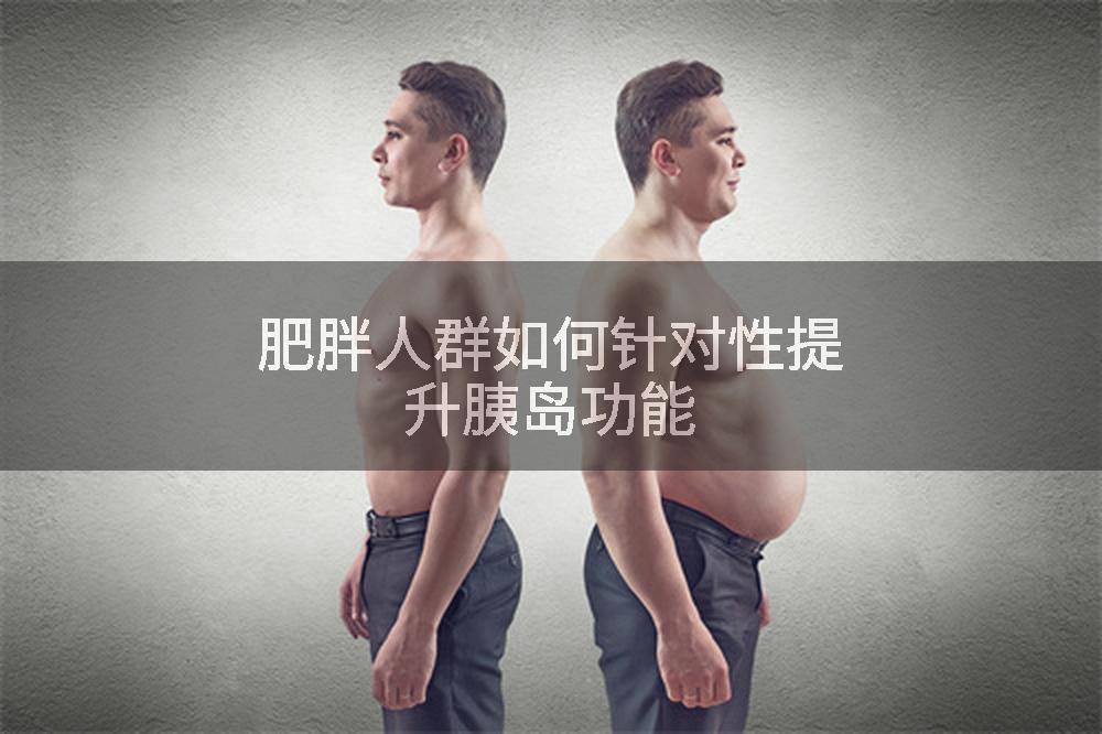 肥胖人群如何针对性提升胰岛功能