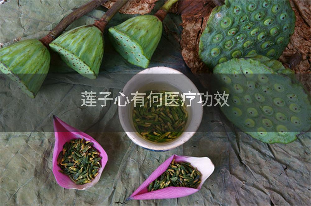 莲子心有何医疗功效