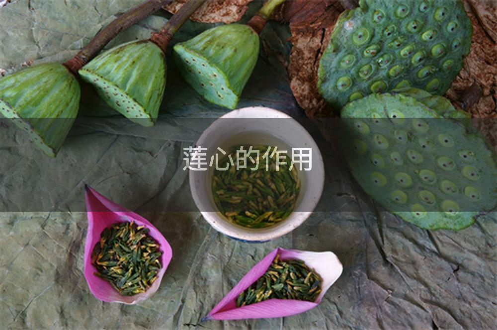 莲心的作用