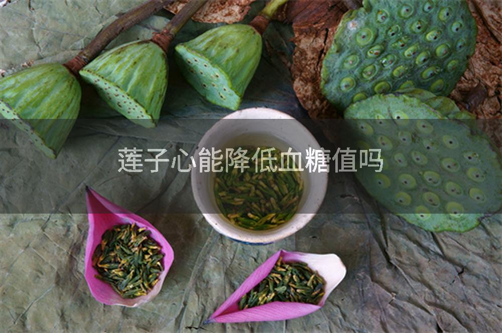 莲子心能降低血糖值吗