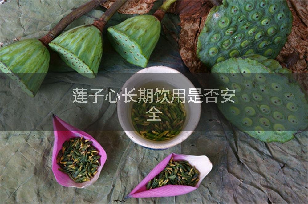 莲子心长期饮用是否安全