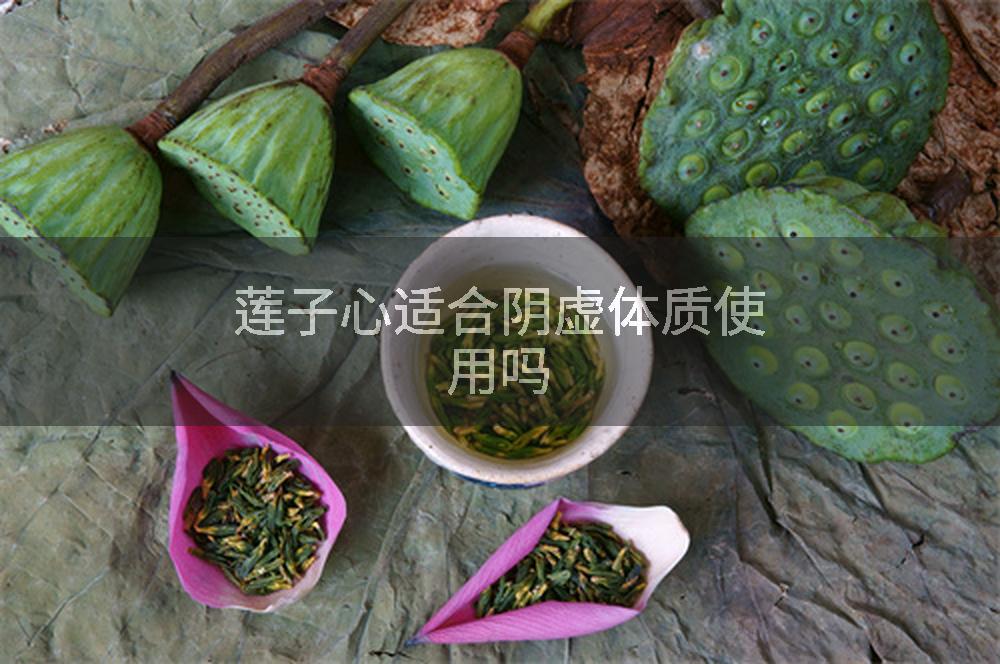 莲子心适合阴虚体质使用吗