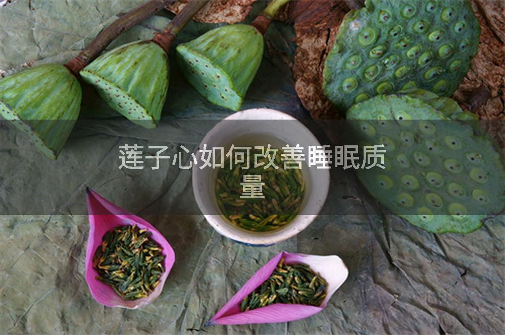莲子心如何改善睡眠质量