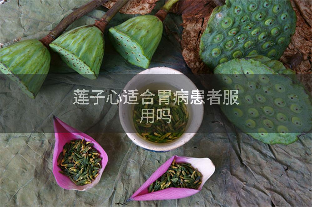 莲子心适合胃病患者服用吗