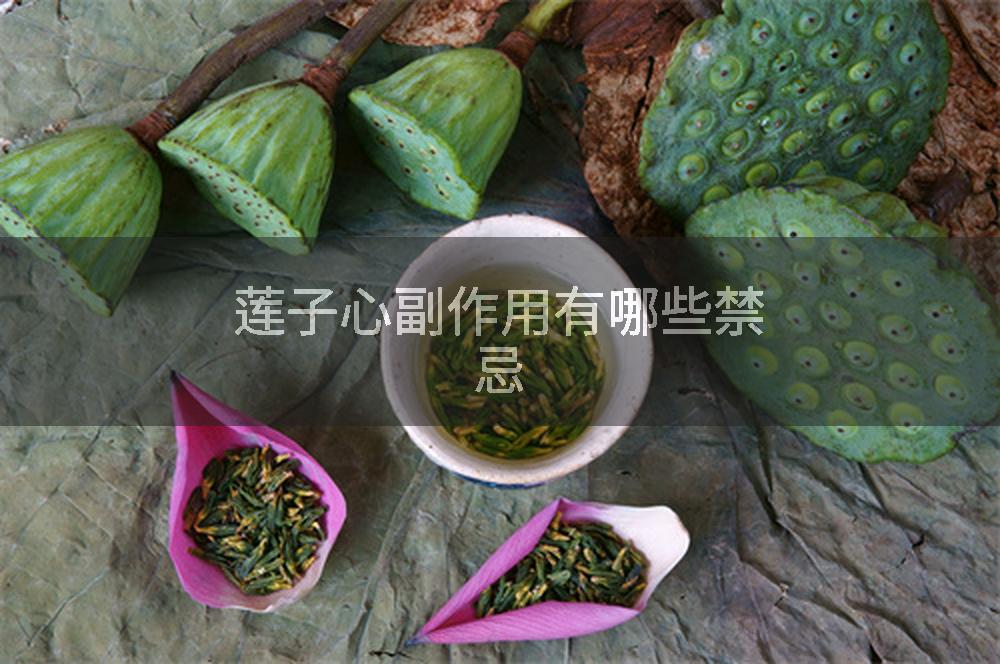 莲子心副作用有哪些禁忌